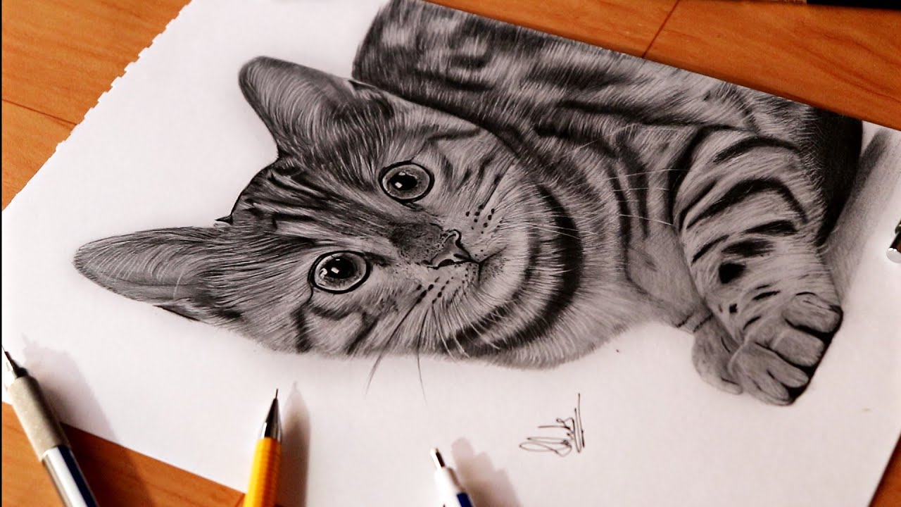 Premium Vector  Domestic cat realistic vector sketch illustration the sign  of the cat