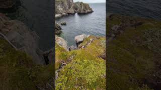 Cliff walk to crappy telephoto to PUFFIN'S!!! Cliff walk to crappy telephoto to PUFFIN'S!!!