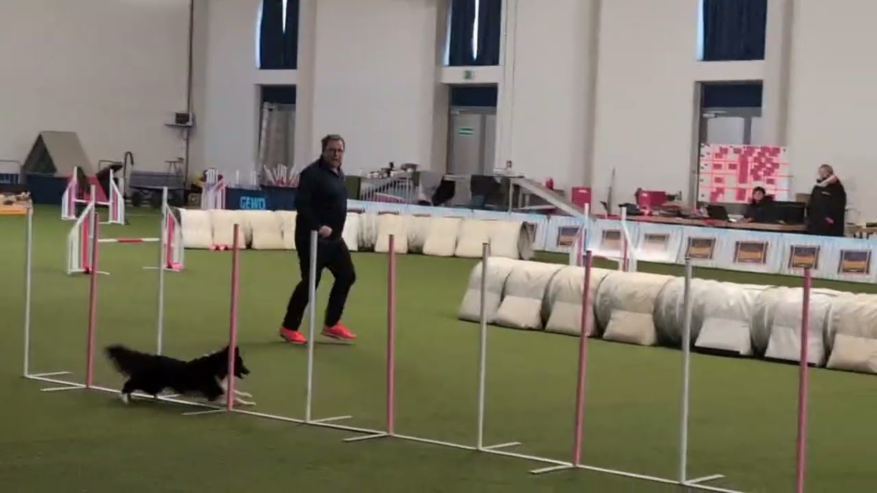 BASS Turnier 28.12.24 Gerald und Pace Jumping