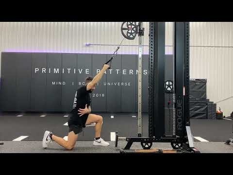 HK S/A Lat Pulldown