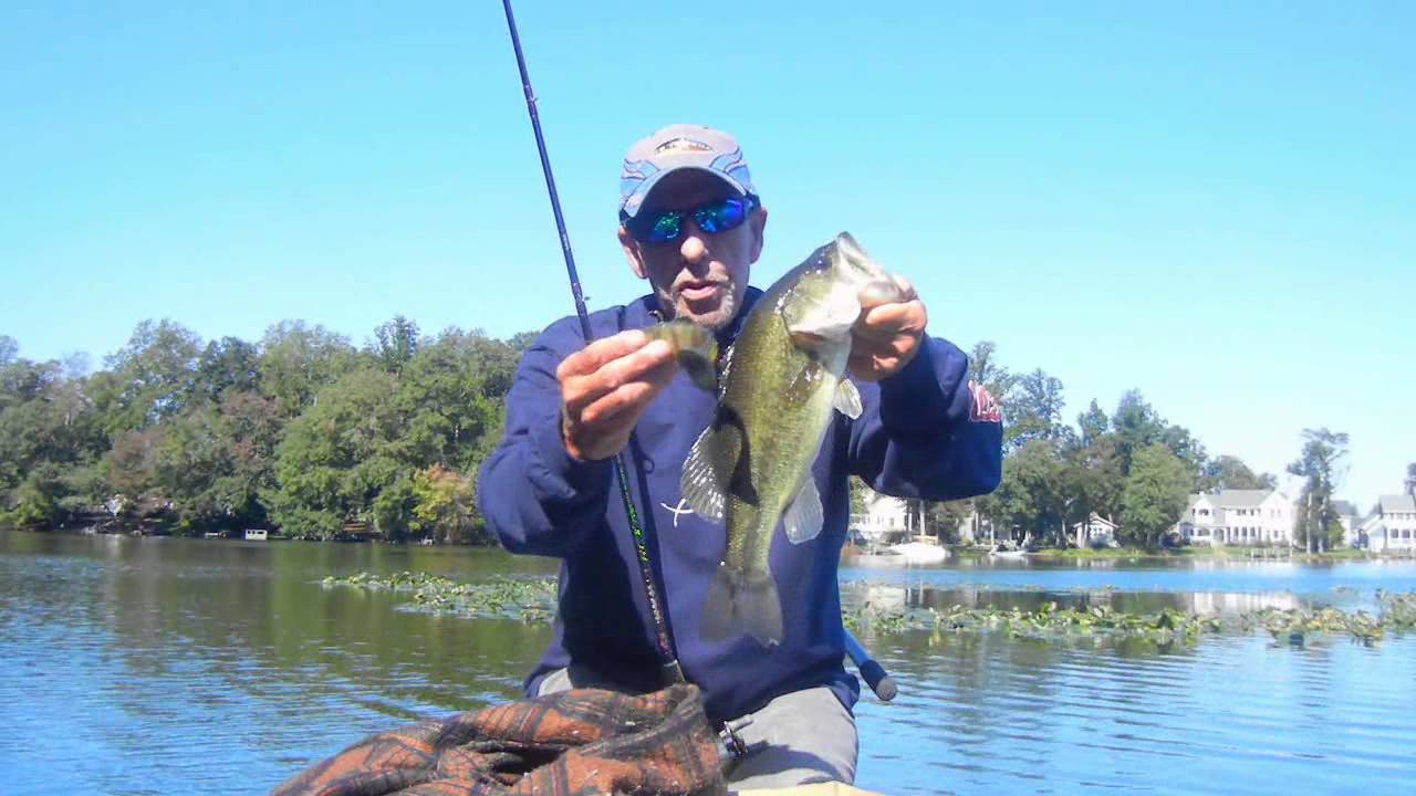 FALL HUDDLESTON SWIMBAIT BASS .