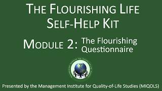 Flourishing Life Self-Help Module 2: Questionnaire