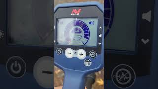 EMI on Pulse Induction Detectors including the Algoforce and GPX 6000