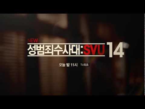   성범죄수사대 SVU14 Law Order Special Victims Unit EP 3 4 4 1 월 밤 11시 20130401