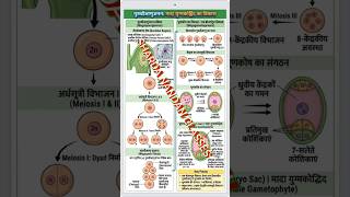 ed #education class 12th Boilogy // गुरु बीजाणु जनन #class10science // by nandan sir