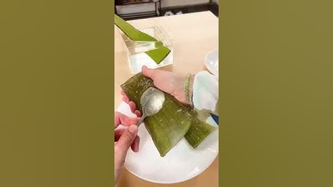 Voici l’intérieur d’une feuille d’Aloe Vera ! #shorts #viralvideo #recipe #cooking