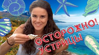 🦑Пробуем свежие морепродукты | ресторан ROZMARIN | БУХТА МЕЧТЫ в Ласпи - Ялта и Севастополь отдыхают