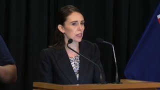 New Zealand bans sale of assault, semi-automatic rifles: PM