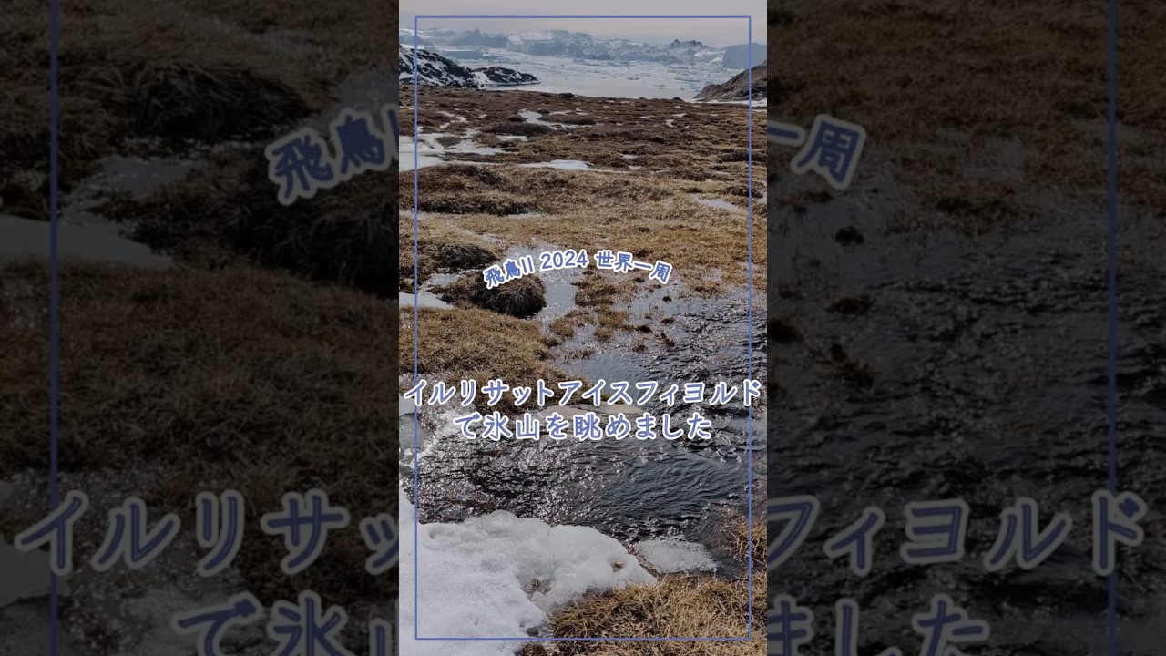 【飛鳥II 2024 世界一周】イルリサットアイスフィヨルドで氷山を眺めました