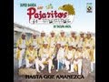 Super Banda los pajaritos de tacupa mix 2