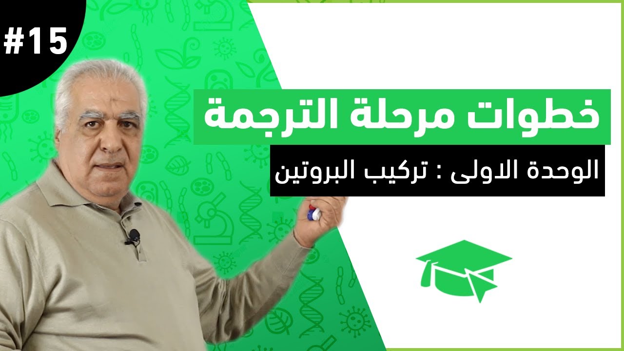 #15 خطوات مرحلة الترجمة