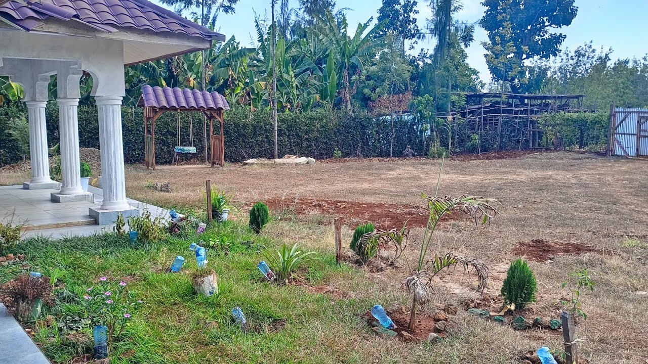 Raw life in the village.