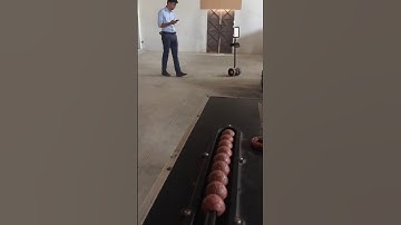 Self Balancing Telepresence Robot (Made in Pakistan!)