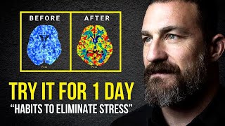 Neuroscientist: You Will NEVER Feel Stressed Again | Andrew Huberman