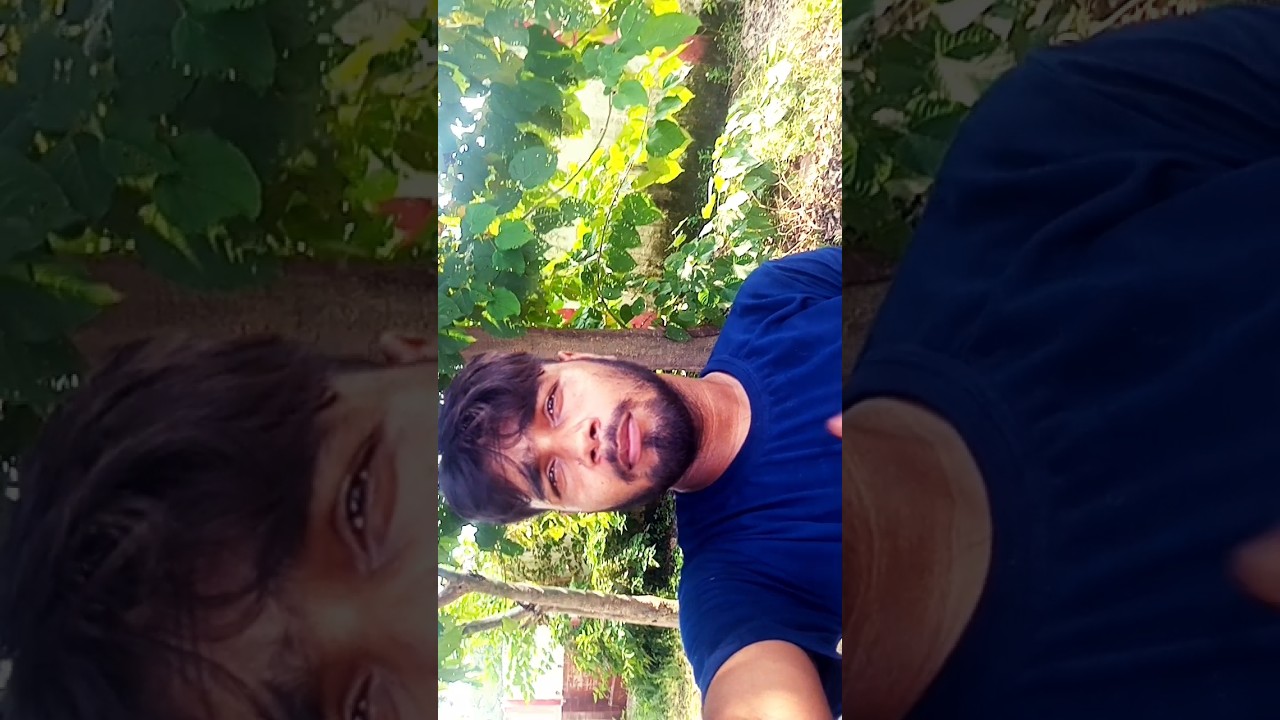 Khesari: From Bihar to Bollywood (Mini Vlog)