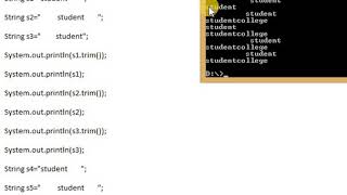 string trim in java