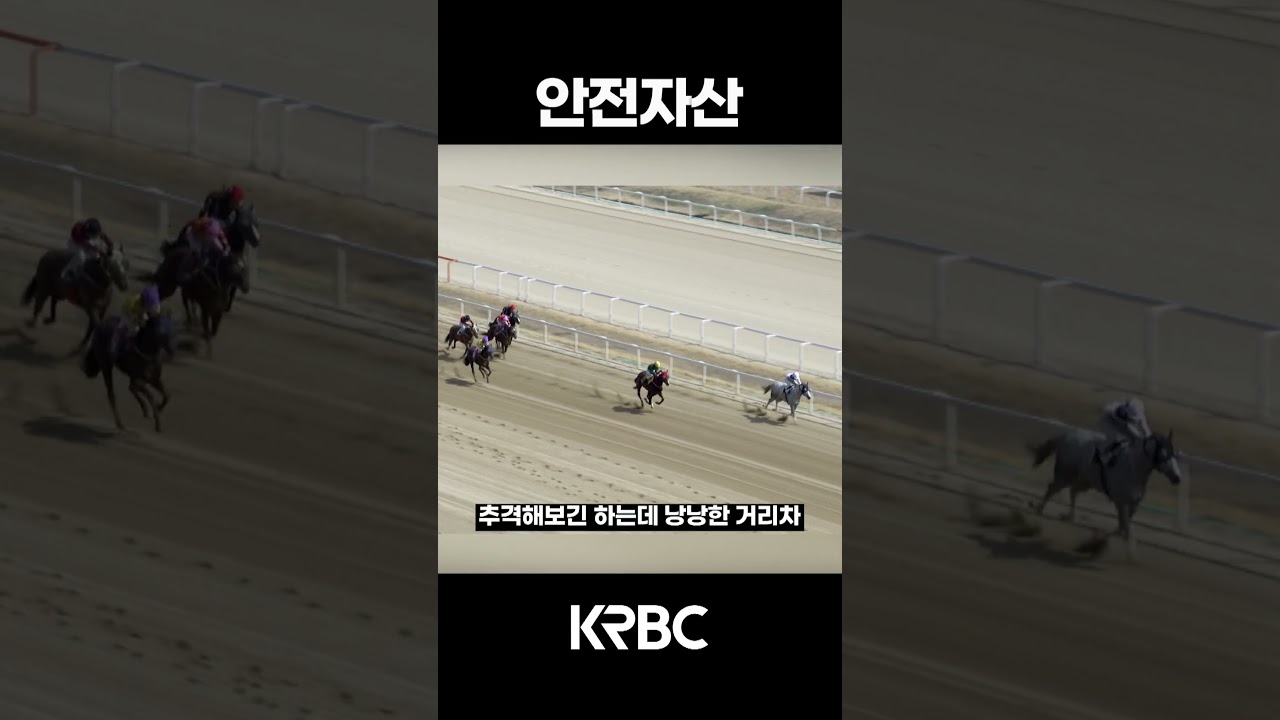 안전자산 #shorts #경마방송 #기수 #경주마 #경마 #KoreaHorseRacing
