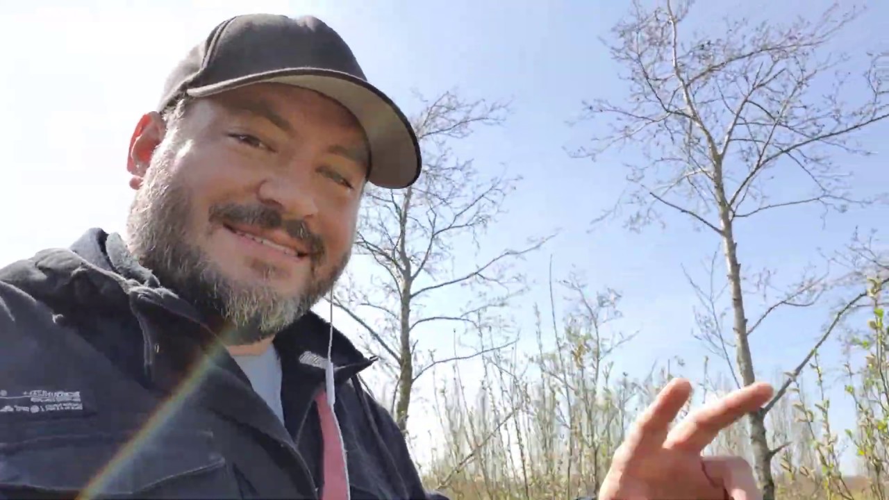 Vlog Post 02. About my Online Training: Digital Tools For Music Education