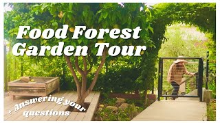Epic Food Forest Garden Tour + Answering Your Questions Q & A