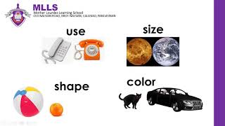 Classifying Ideas | Teacher Bunny