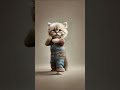 overall catdance #cat #petdance #dancingcat #catlover #dancingpet #cute #catdancer #cutecat