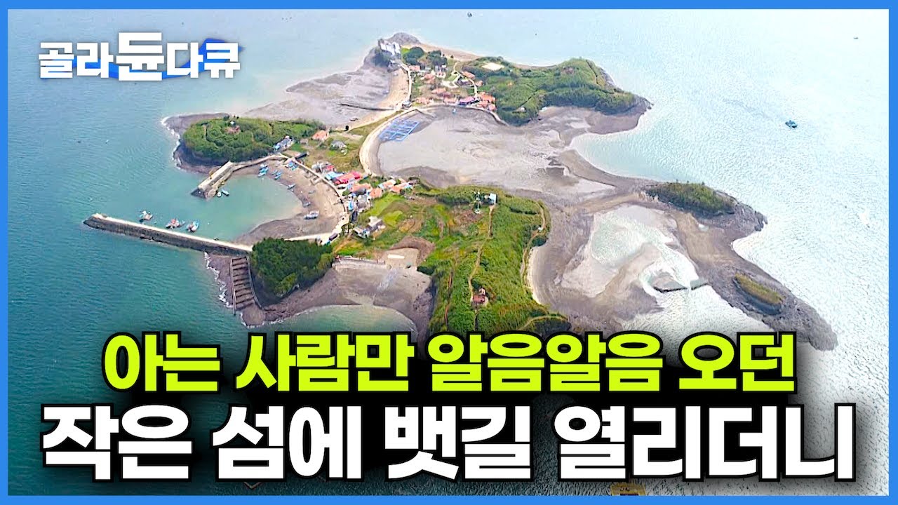 오지였던 작은 섬에 뱃길 열리더니.. 하루 1,000명 방문하는 유명 관광지가 된 아름다운 섬┃무인도 속 유일한 유인도┃충남 홍성 죽도┃국내여행┃가볼 만한 곳┃한국기행┃#골라듄다큐
