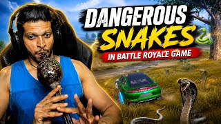 Dangerous Snakes In Battle Royale Game