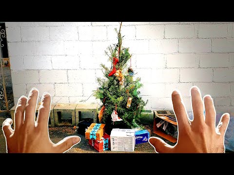 Finding a Christmas Tree