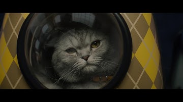 マシュー・ヴォーン監督の愛猫・チップががっつり出演、映画『ARGYLLE／アーガイル』特別映像【2024年3月1日公開】