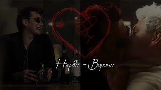 картинка: Нервы-Вороны // Кроули и Азирафель