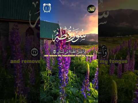        سورة طه      