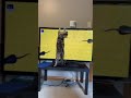 Cat playing on tv🐱 #cat #kitten #funny #tv #assamtezpur