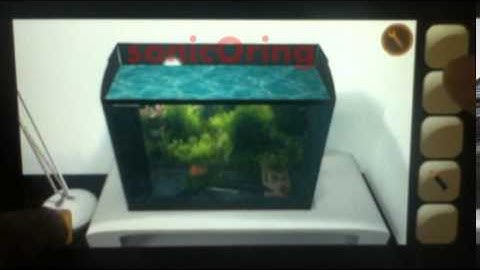 You Must Escape Level 8 Walkthrough