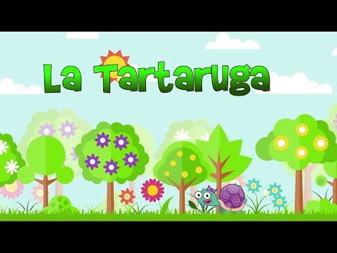 Video: Devi ibernare la tartaruga emarginata?