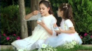 Alsafi Gild The Lily Tvc 2004.Wmv