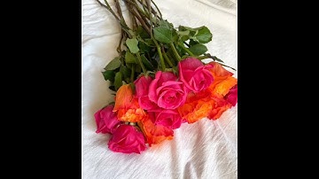 سورة الفاتحة القارئ ناصر باحاج