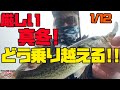 今週の釣りどうだった？1月12日