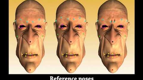 Easy Acquisition and Real-Time Animation of Facial Wrinkles.