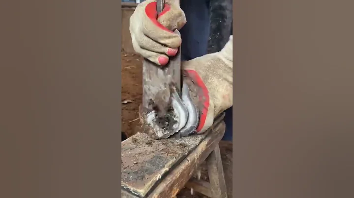 The pain is unbearable! The hoof of a donkey is like a plum blossom, and the master trims it for him