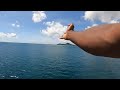 Mayotte dzaoudzi  labattoir immersion