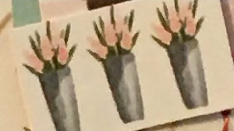 Bash your stash winner!!!💗