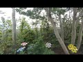 【VR180 3D】立川ステージガーデン屋上庭園