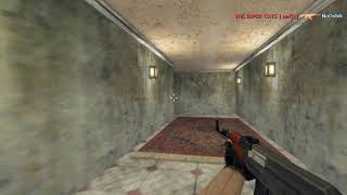 Nek 5 With Ak 47 Cs 1.6