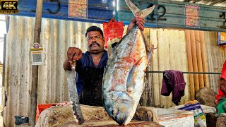 KASIMEDU 🔥 SPEED SELVAM | TRAVELLY FISH CUTTING VIDEO | 4K VIDEO | KM FISH CUTTING