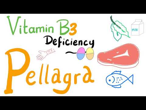 पेलाग्रा (विटामिन बी3 की कमी)