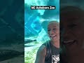 NC Asheboro Zoo for you animal lovers #sharonshesofabulous #influencer #prepper #vlogger