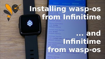 wasp-os: PineTime OTA from Infinitime to wasp-os and back again