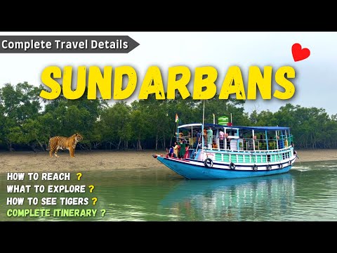 Sundarban Tour | Sundarban Vlog | Sundarban Tour Package Hindi | Sundarban Delta #sundarban