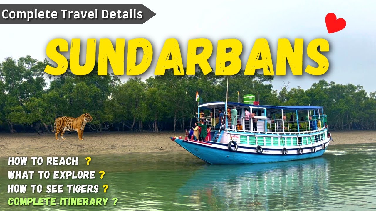 sundarban tourist package