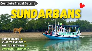 Sundarban Tour | Sundarban Vlog | Sundarban Tour Package Hindi | Sundarban Delta #sundarban screenshot 1